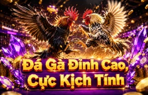 pp0503377 Đá Gà hiển thị giao diện trận đấu trực quan